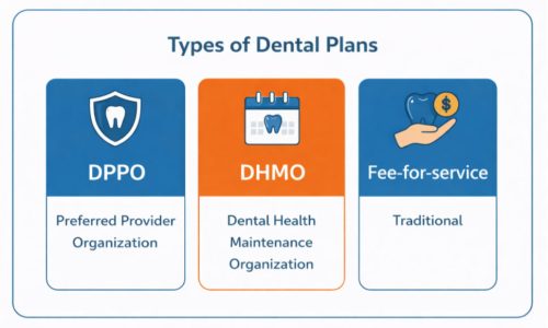 different types of medicare dental plans available to seniors